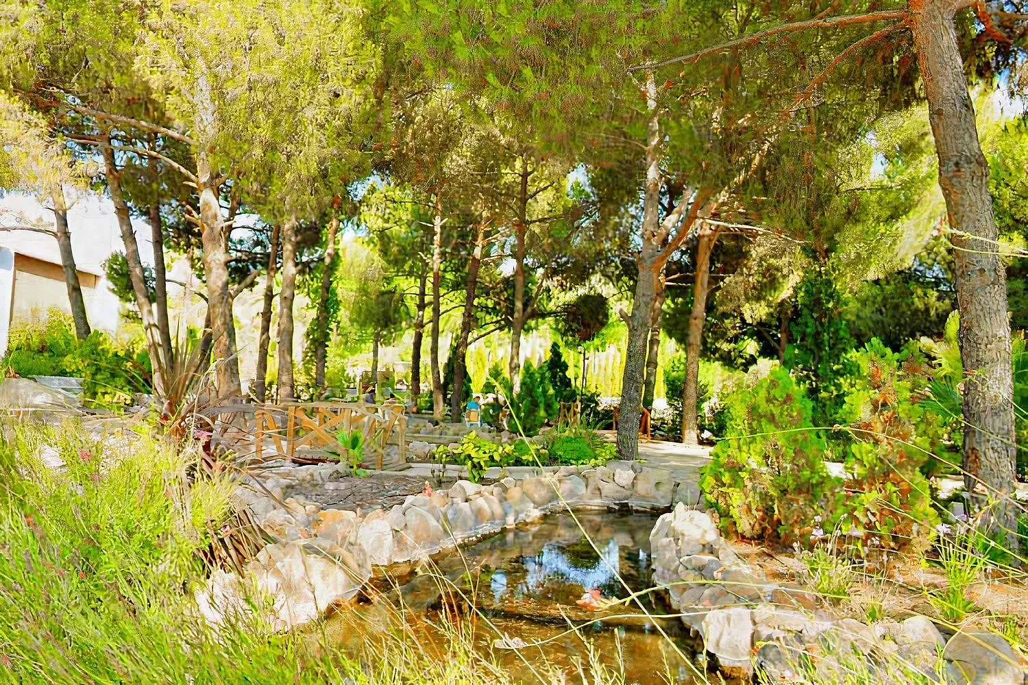 ****  Elitium Thermal&Spa Hotel Bozkoy  Turcia