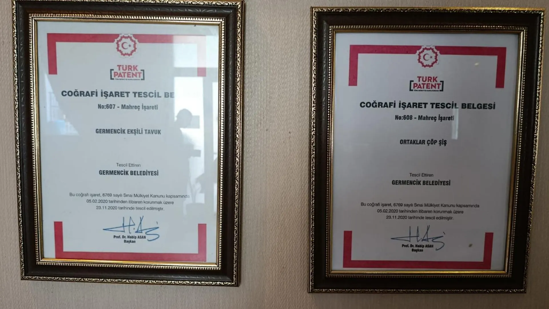 Elitium Thermal&Spa Hotel Bozkoy  4*, Bozkoy (Germencik) Turcia